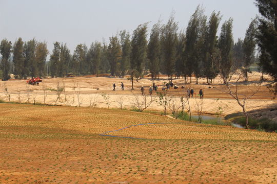 Phú[-]Yên:[-]Phá[-]nát[-]rừng[-]phòng[-]hộ[-]làm[-]sân[-]golf